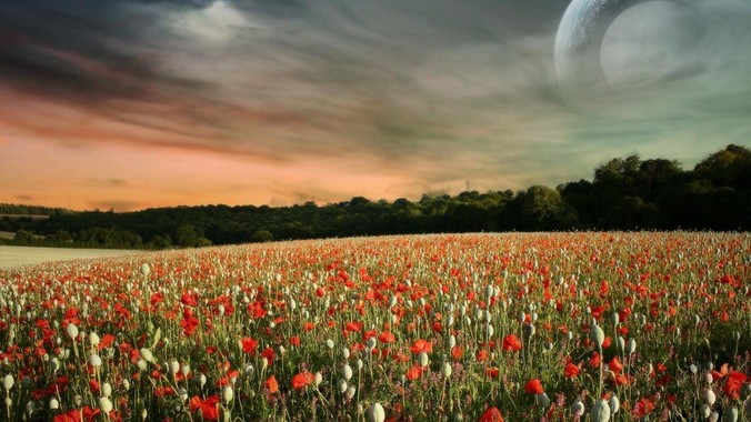 你的低成本爱好是什么？